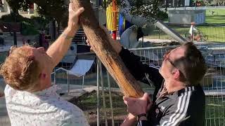 nick and josh try to get a styrofoam plane out of a tree (a tragedy)
