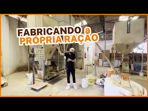 FABRICANDO a PRÓPRIA RAÇÃO: dicas importantes para GALINHAS POEDEIRAS