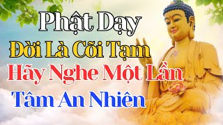 Phật Dạy-  Đời Chỉ Là Cõi Tạm, Biết Buông Là An Nhiên