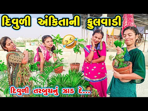 Divuli Ankita Ni Fulvadi | 2024 l Full Comedy | Gujarati Video | Comedy |  | New Comedy |