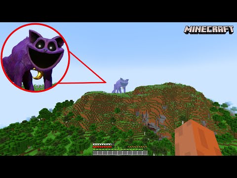 I Found Catnap on Minecraft (Poppy Playtime Chapter 4)