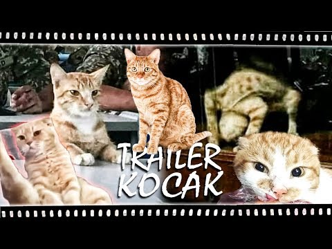 Trailer Kocak - Kocheng Orenz