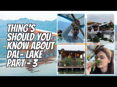 Thing’s should You Know About Dal-Lake #travelvlog  Part-3 #Dal-Lake