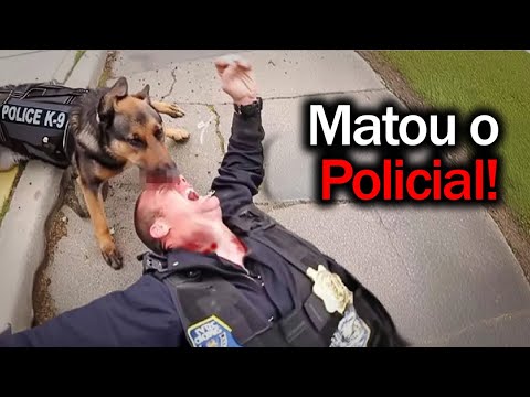 Cães Policiais (K9) Que Cometeram Erros FATAIS