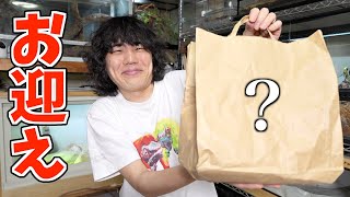 青いイナズマをゲッチュしました！