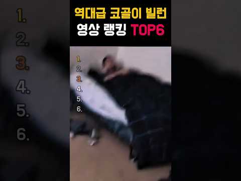 소리를 확인하지 마세요 😭😭