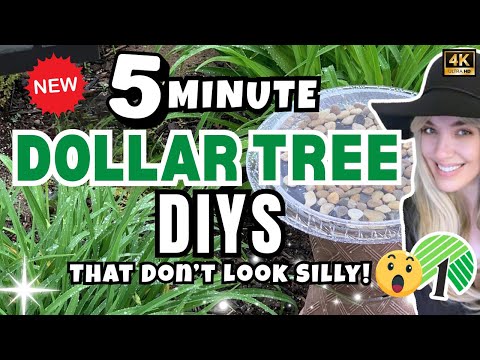 5 Minute or Less Dollar Tree DIYS That Don’t Look Silly | Dollar Tree Outdoor Summer DIYS