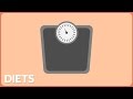 Exploring Effective Diets for Weight Loss