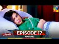 Manjhli -  Episode 17 - 27th June 2025 [ Fahad Sheikh, Khadija Saleem & Shaheera Jalil ] - HUM TV
