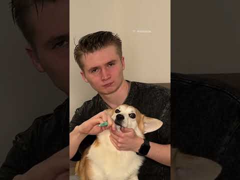 У САРЫ ВОНЯЕТ ИЗ ЗА РТА