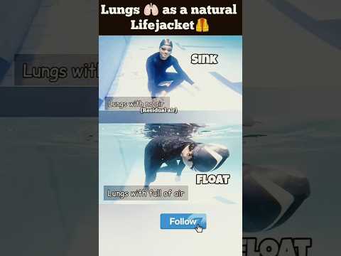 Your Lungs 🫁 are Natural Lifejacket 🦺 Swimming Tips For Beginners #swimming #swimmingtips #floating