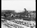 Economic Consequences of the 1920s