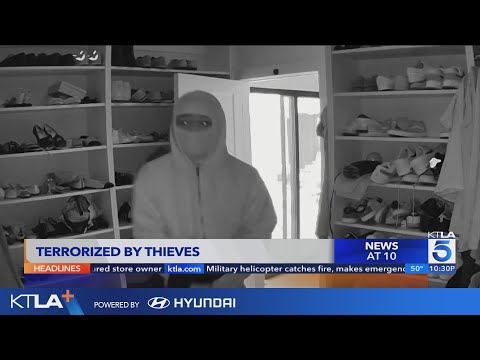 Thieves ransack San Fernando Valley homes, leaving destruction behind