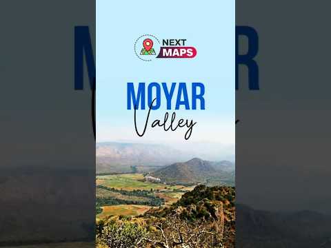 Moyar Valley: South India’s Last Refuge for Wild Vultures | NEXT MAPS