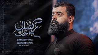 ركضتلك اختك | مجتبى الكعبي | مشاية الأربعين 1447 هـ