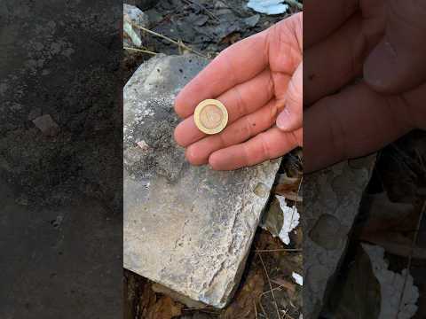 1 Euro Coin Conversion