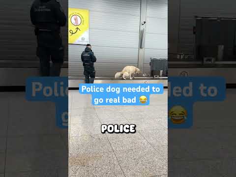 Police dog really needed to go (@miss_dianna12)