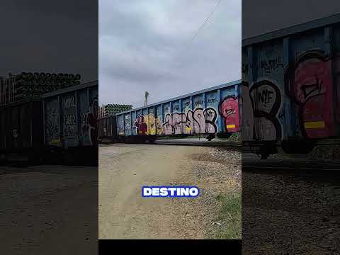 tren interoceanico de mexico comienza a ser una alternativa al canal de panama