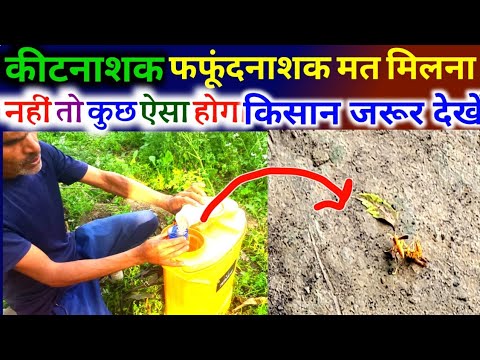 कीटनाशक और फफूंद नाशक मिलने के पहले ये जरूर पता होना चाहिए नहीं तो फसल बर्बाद।