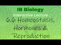 Homeostasis and Hormonal Regulation in IB Biology