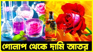 গোলাপের তরল সোনা, গোলাপ থেকে যেভাবে তৈরি হয় দামি আতর | Agro News