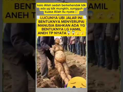 satu lgi kuasa Allah itu nyata🥺🥲 #fypviral #trendingshorts
