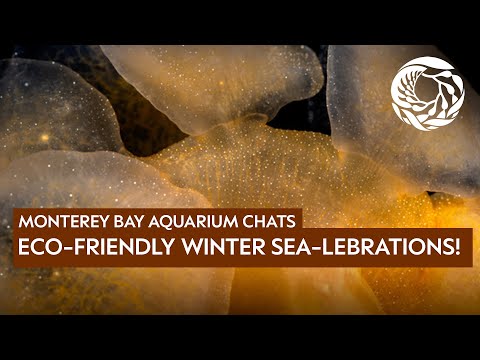 Sustainable sea-lebration & gift giving tips with the Aquarium’s Conservation and Science Team!