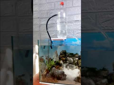 Amazing !!? No engine needed and free electricity