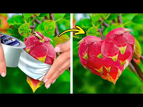 Epic Gardening Hacks! Grow Healthy Plants And Have a  Happy Farm