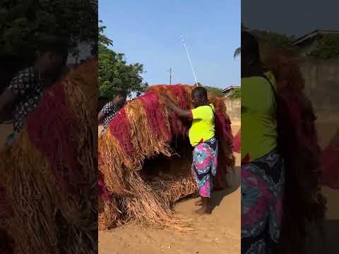 Is This Real Magic? 🌾😳 #Shorts