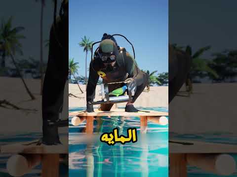 أغرب غواصة في التاريخ.. طائر يستكشف أعماق المحيط داخل كبسولة مرعبة! 🐦🌊