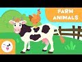 Animal Characteristics and Sounds