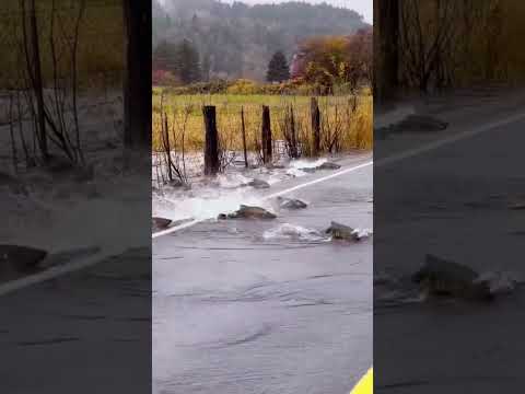#shorts đam mê câu lure câu cá giải trí #196 #fishing #cauca