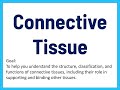 Connective Tissue Concepts and Functions