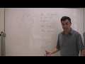 Understanding the Use of 'Must'