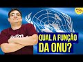 Understanding the United Nations