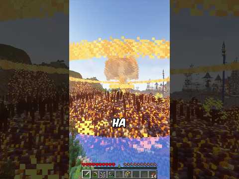 Der PRANK der zu WEIT ging!?… #minecraft #toobad #diesereinefreund