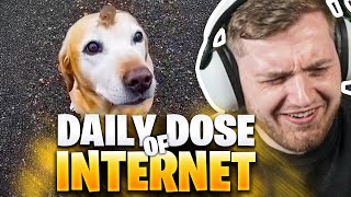 😍😱Neue BESTE FREUNDE im DAILY DOSE of INTERNET! | Trymacs Stream Highlights