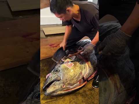 WHY WHOLE TUNA IS MORE EXPENSIVE THAN CANNED TUNA 🦈