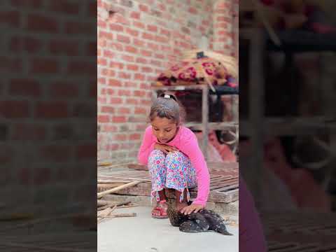 फ़क़ीर बाबा और बच्ची का मुर्गा 🐓😭 | #trending #islamicvideo #shorts #shortsvideo #viral