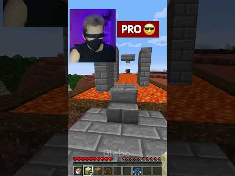 Noob vs Pro! 742% #minecraft