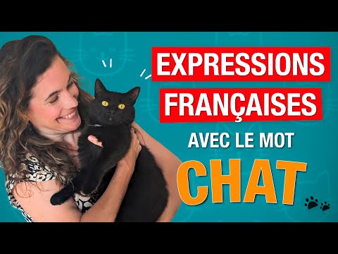 Les expressions françaises avec le mot « chat » 🐱 – Les connaissez-vous toutes ?