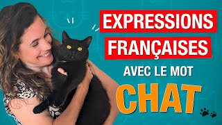 Les expressions françaises avec le mot « chat » 🐱 – Les connaissez-vous toutes ?