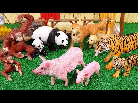 Learn Sea Animal and Zoo Animals Names Video Toys For Kids