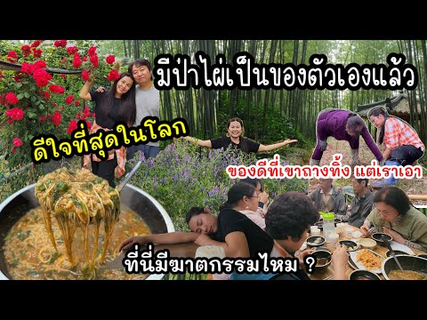 EP.962 ความฝันเป็นจริงแล้ว ปีนี้มีป่าไผ่เป็นของตัวเองค่ะ  สิ่งที่เขาถางทิ้งแต่กับมีค่าสำหรับเรา
