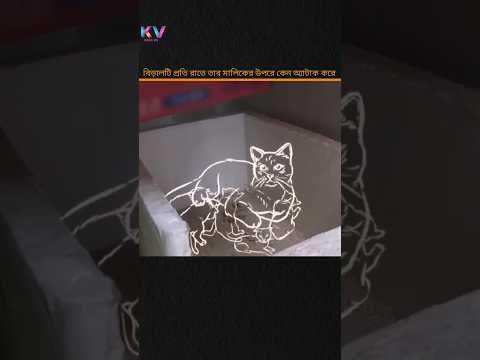 why does this cat attack his honour🐈#shorts #ytshorts #facts #cat #story #shortsfeed #animals