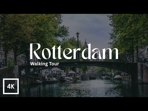 This Rainy Walk in Rotterdam (The Netherlands) Sounds Like Magic | 4K Shot On DJI Osmo Pocket 3