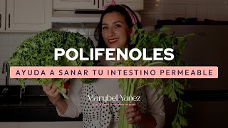 ESTRENO✨ I Polifenoles para sanar tu intestino permeable y más I Nutrióloga Marybel
