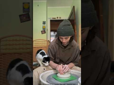 cat's pottery skill 😺🎨#shorts