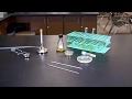 Bacterial Culture Techniques and Procedures